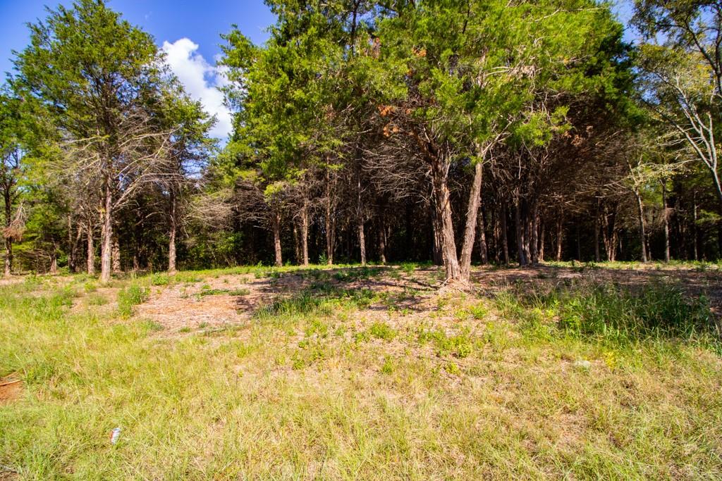 Tbd Cr 4173 Property Photo 2