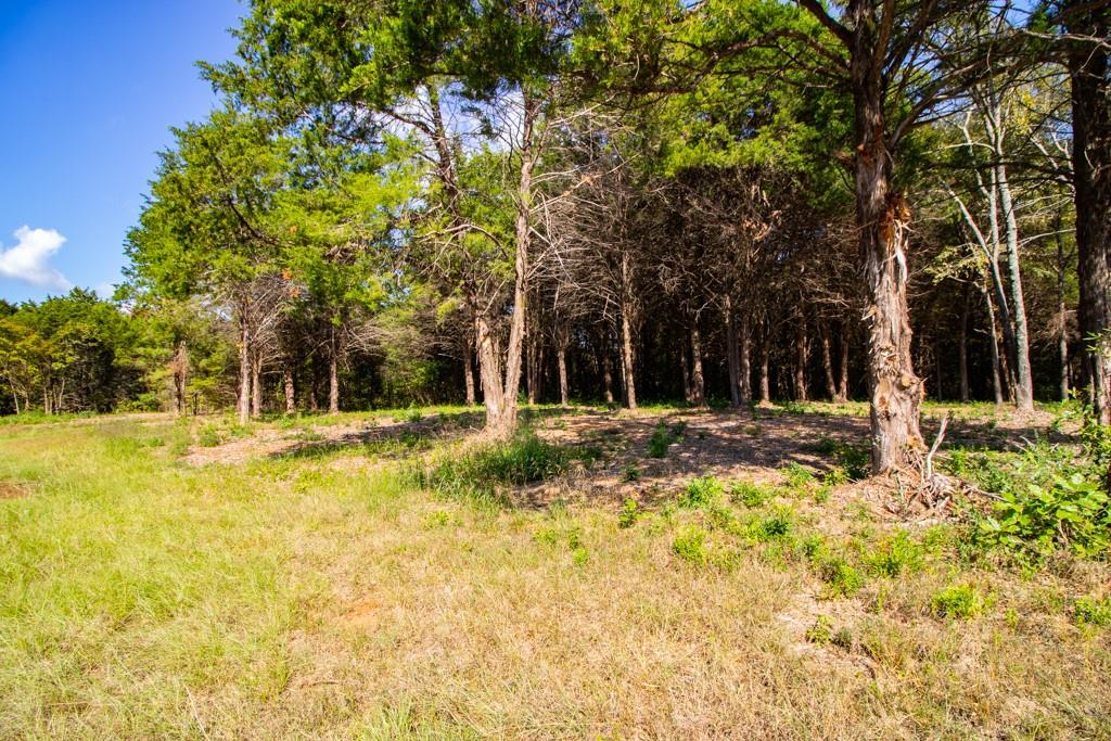 Tbd Cr 4173 Property Photo 3
