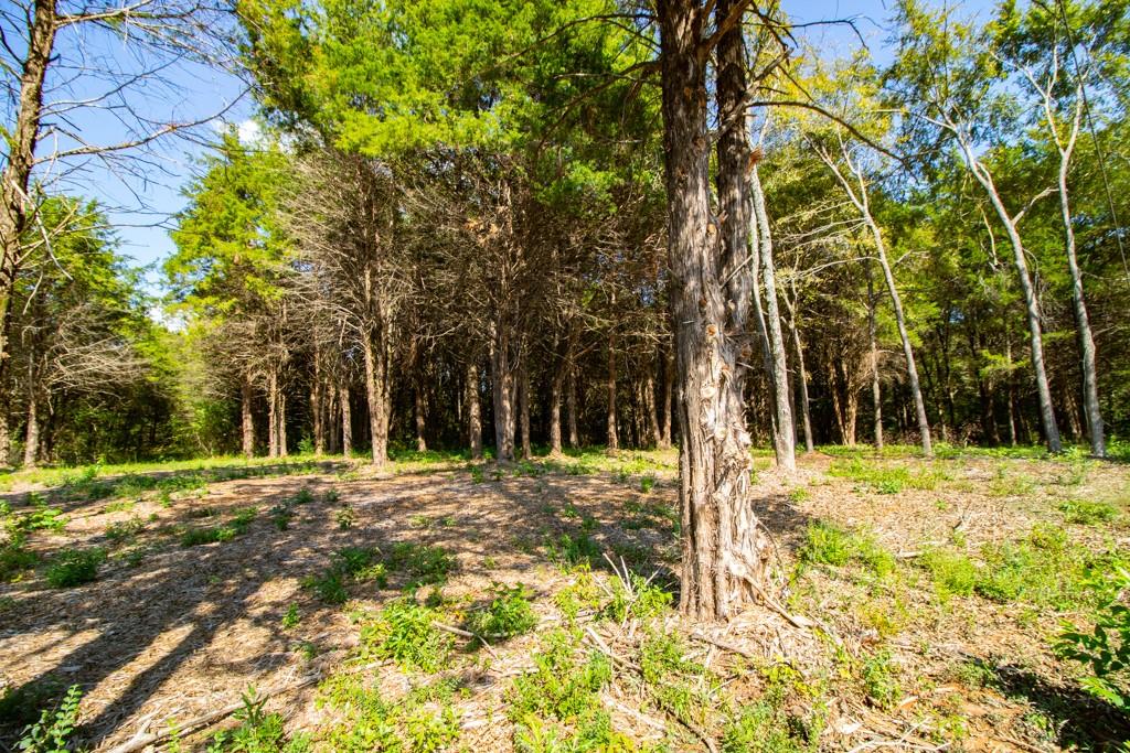 Tbd Cr 4173 Property Photo 4