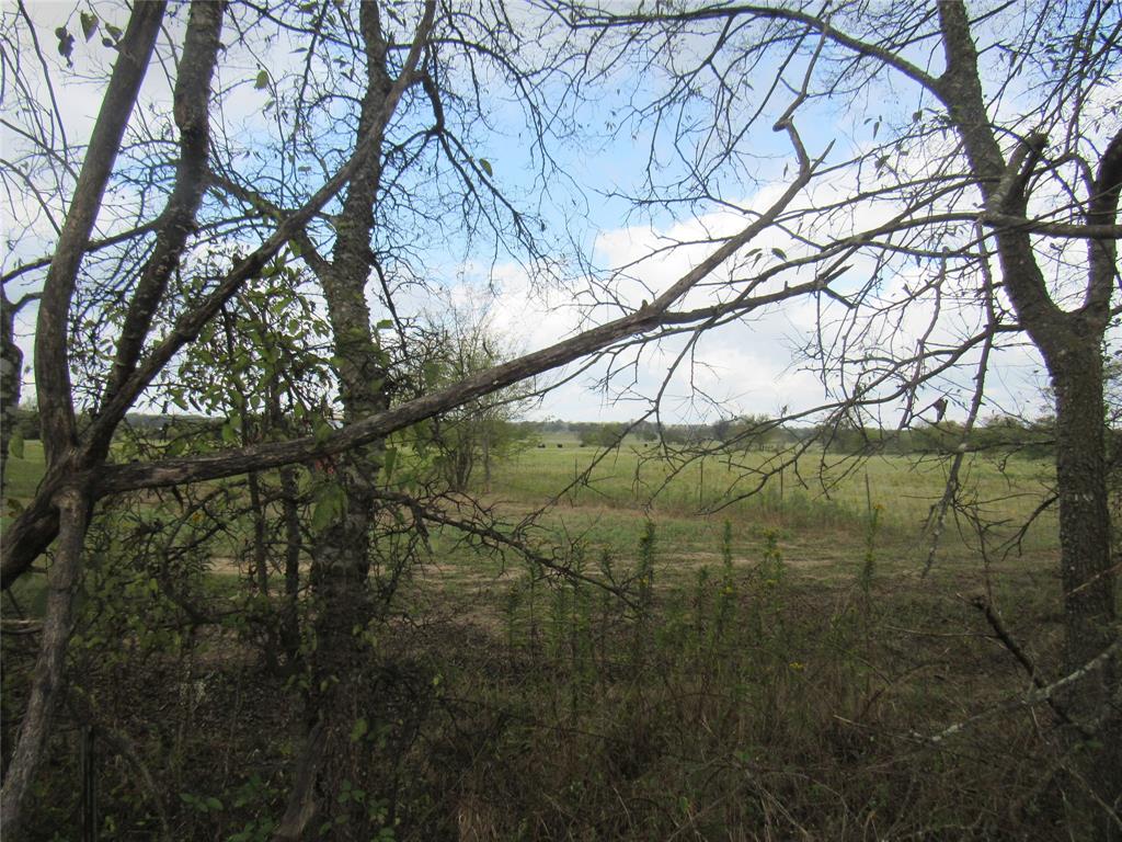 Tbd 2 County Road 4581 Property Photo 7