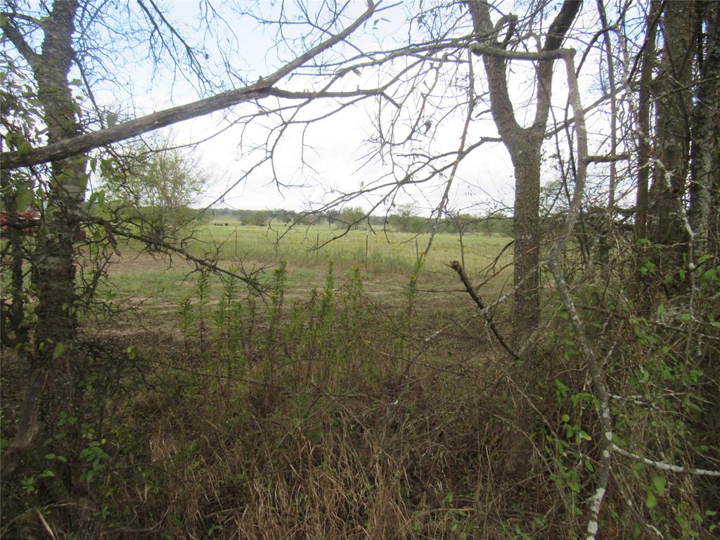 Tbd 2 County Road 4581 Property Photo 8