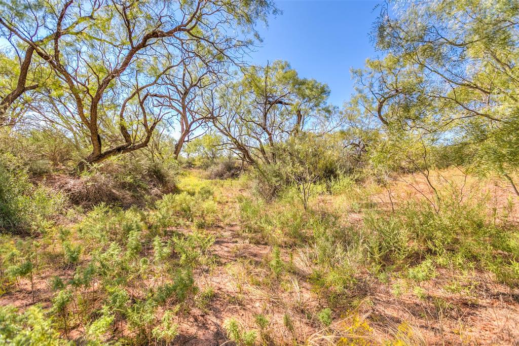 5999 Hwy 277 Highway Property Photo 40