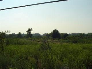 1511 E Tyler Street Property Photo 9