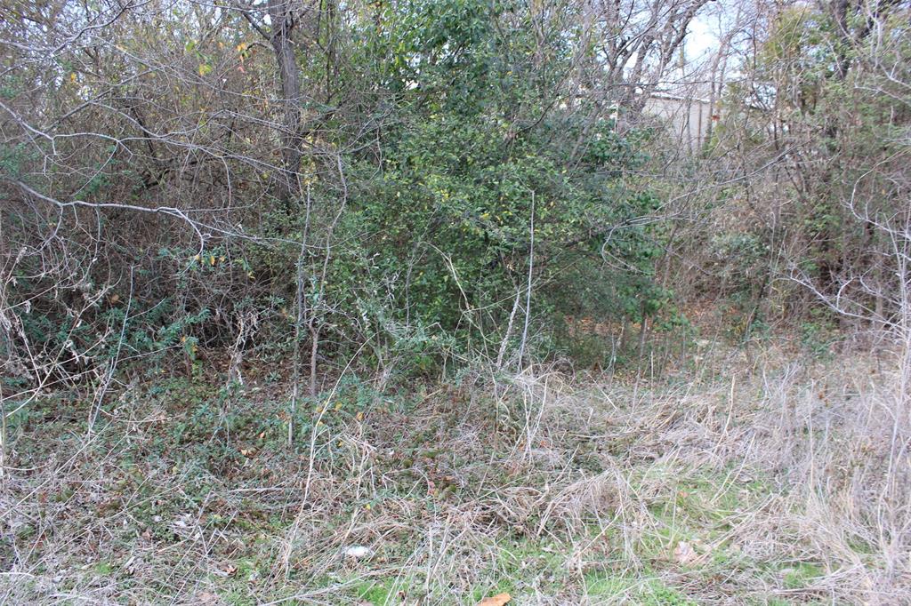 725 Fm 544 Property Photo 5