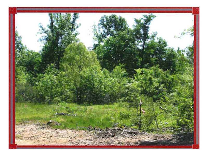0 Highway 789 Property Photo 1