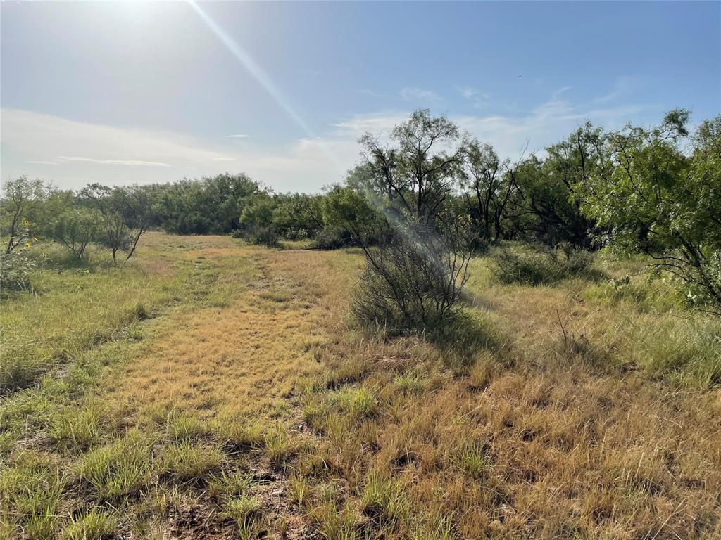 Tract 3 (32 Ac) Fm 600 Property Photo 1