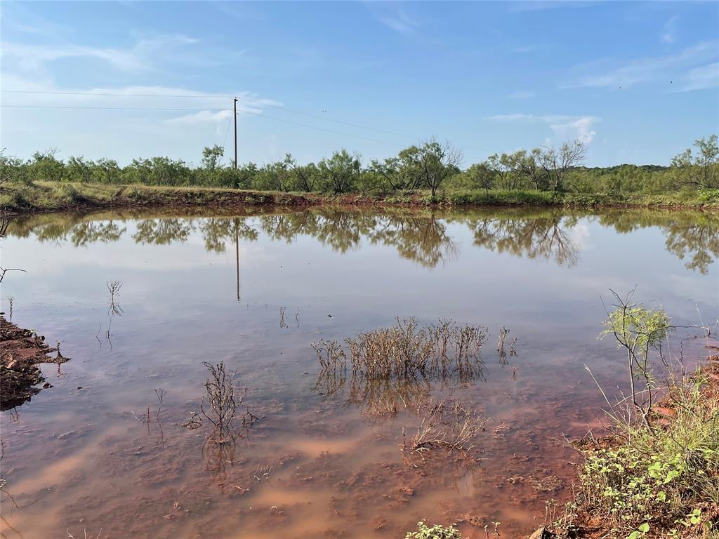 Tract 3 (32 Ac) Fm 600 Property Photo 2
