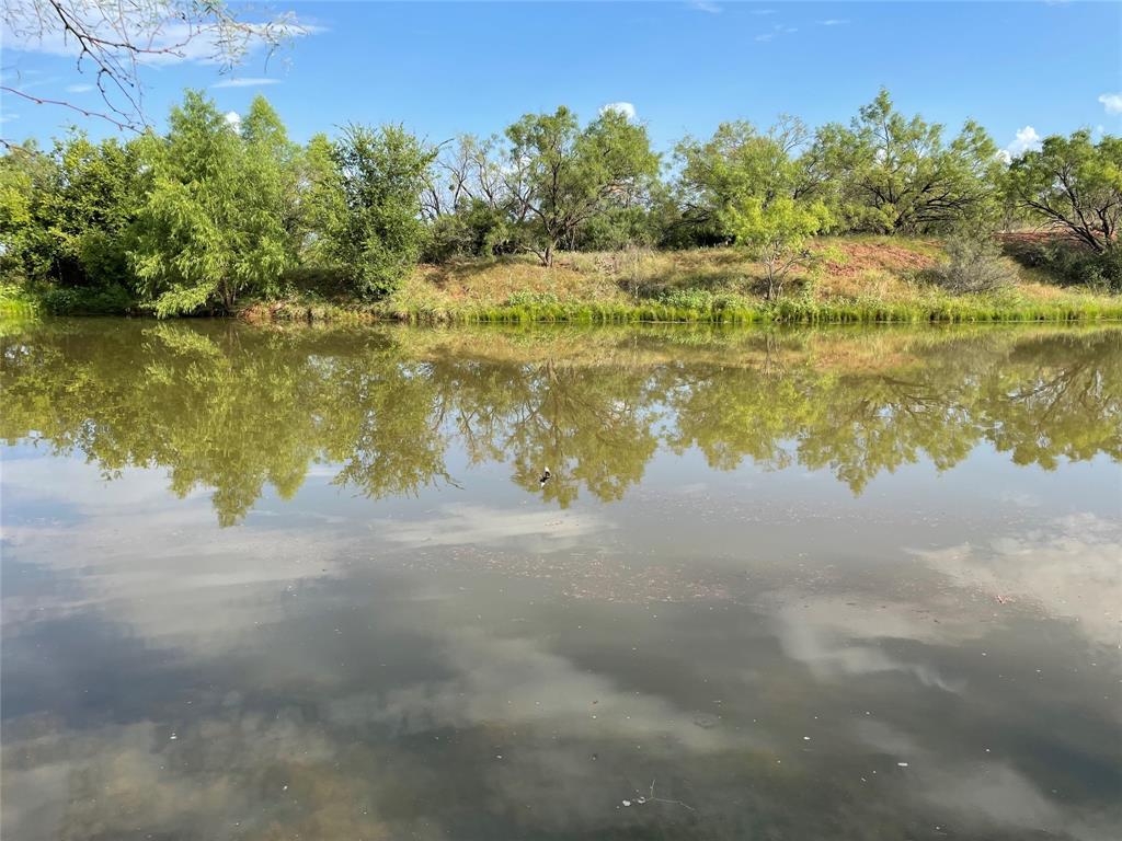 Tract 3 (32 Ac) Fm 600 Property Photo 3