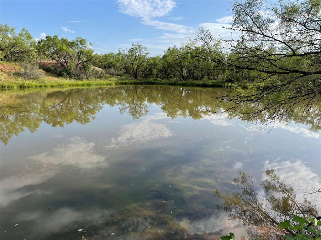 Tract 3 (32 Ac) Fm 600 Property Photo 4