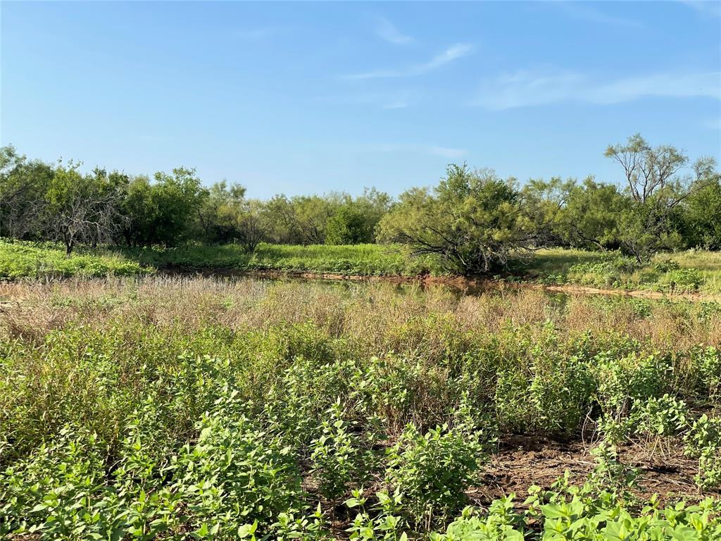Tract 3 (32 Ac) Fm 600 Property Photo 6