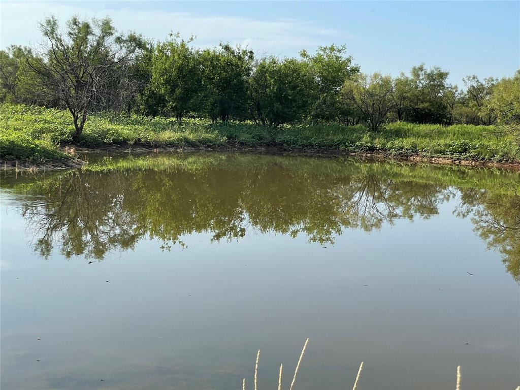 Tract 3 (32 Ac) Fm 600 Property Photo 7
