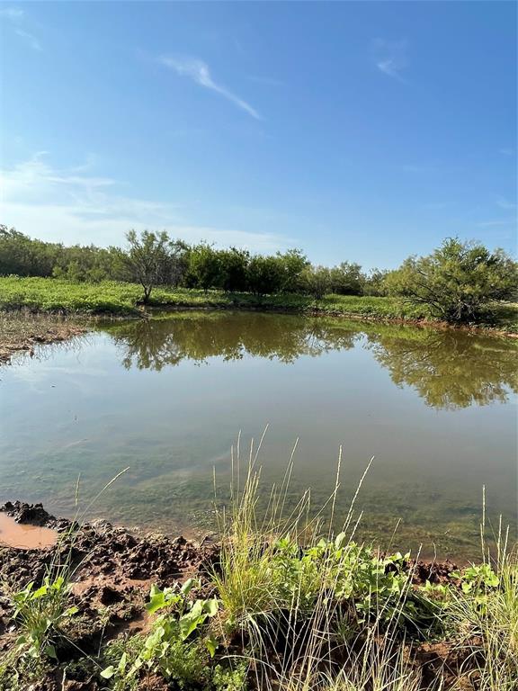 Tract 3 (32 Ac) Fm 600 Property Photo 8