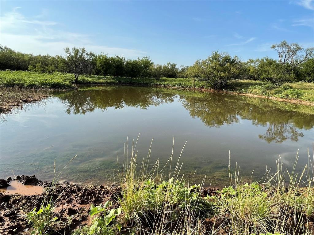 Tract 3 (32 Ac) Fm 600 Property Photo 9