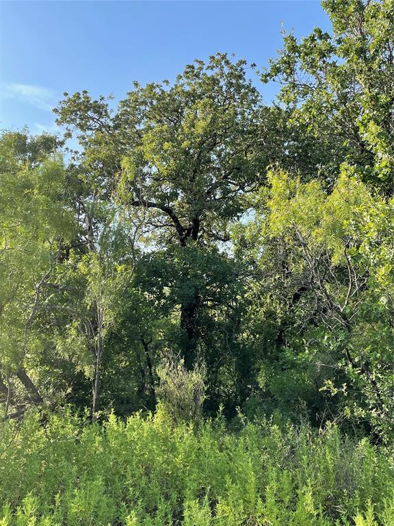 Tract 3 (32 Ac) Fm 600 Property Photo 10