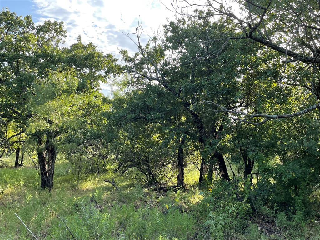 Tract 3 (32 Ac) Fm 600 Property Photo 11