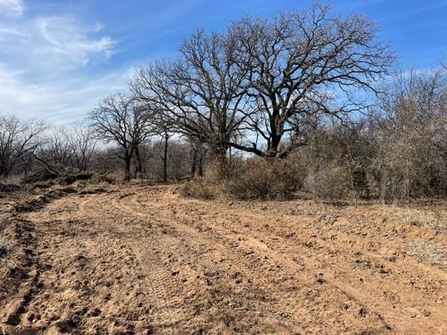 Tract 3 (32 Ac) Fm 600 Property Photo 14