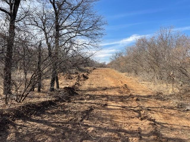 Tract 3 (32 Ac) Fm 600 Property Photo 17