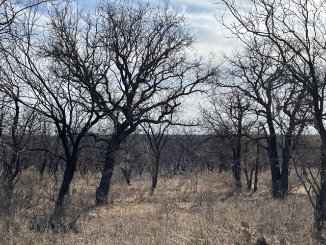 Tract 3 (32 Ac) Fm 600 Property Photo 18