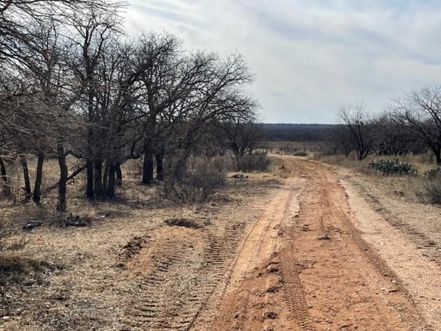 Tract 3 (32 Ac) Fm 600 Property Photo 19