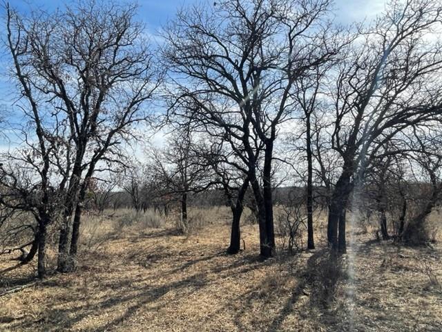 Tract 3 (32 Ac) Fm 600 Property Photo 20