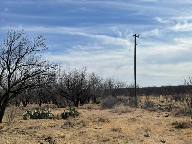 Tract 3 (32 Ac) Fm 600 Property Photo 21