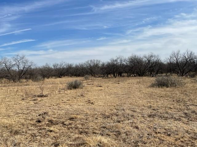 Tract 3 (32 Ac) Fm 600 Property Photo 22
