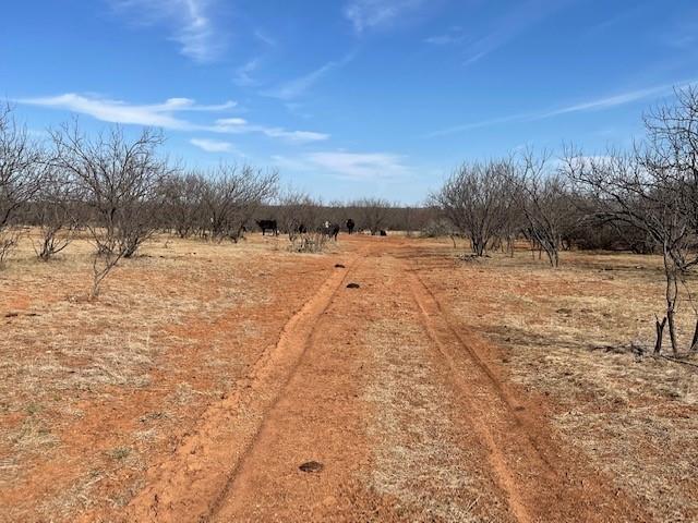 Tract 3 (32 Ac) Fm 600 Property Photo 23