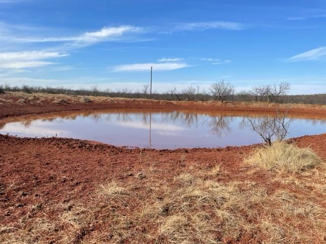 Tract 3 (32 Ac) Fm 600 Property Photo 24