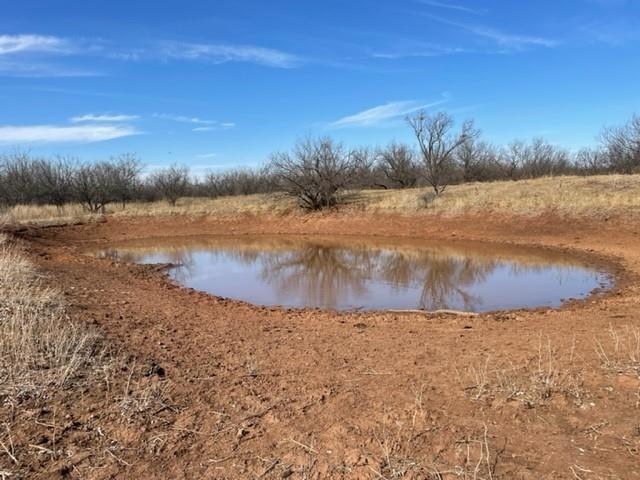 Tract 3 (32 Ac) Fm 600 Property Photo 26