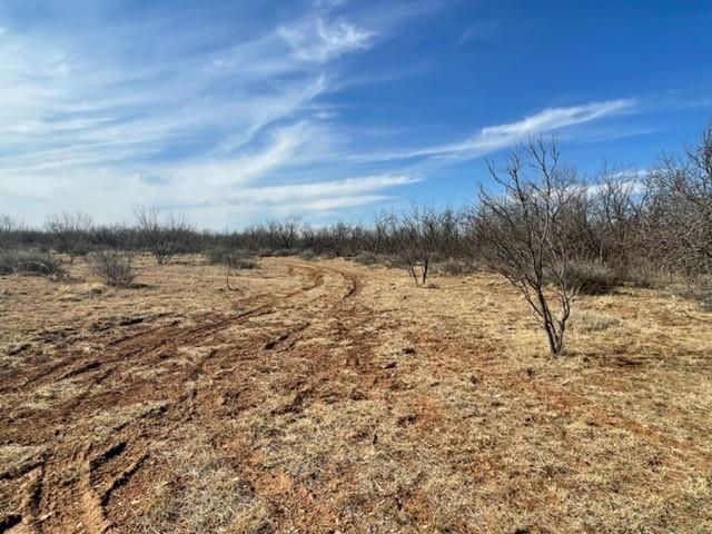 Tract 3 (32 Ac) Fm 600 Property Photo 27