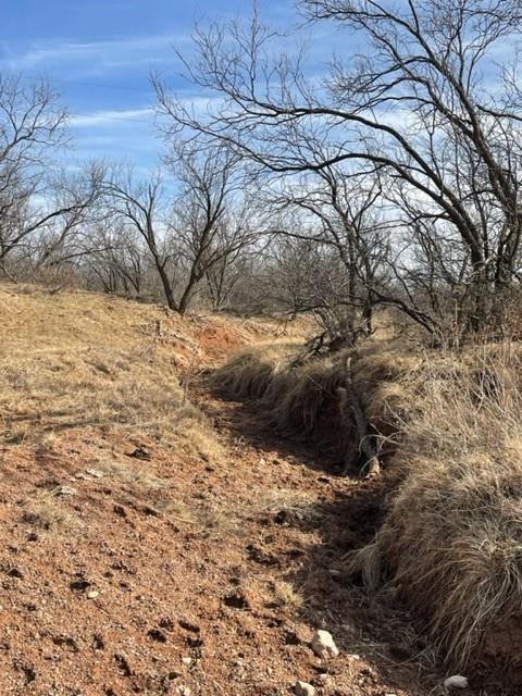 Tract 3 (32 Ac) Fm 600 Property Photo 28