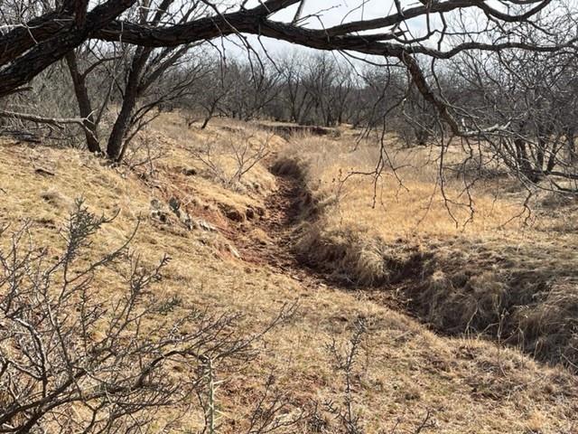 Tract 3 (32 Ac) Fm 600 Property Photo 29