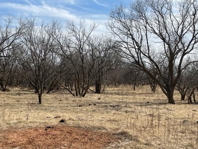 Tract 3 (32 Ac) Fm 600 Property Photo 30