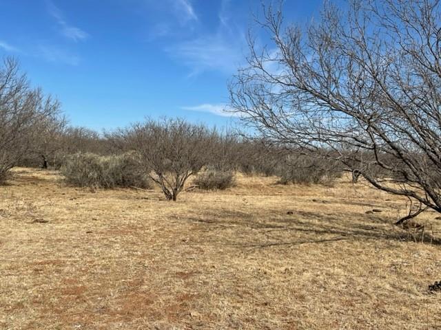 Tract 3 (32 Ac) Fm 600 Property Photo 31