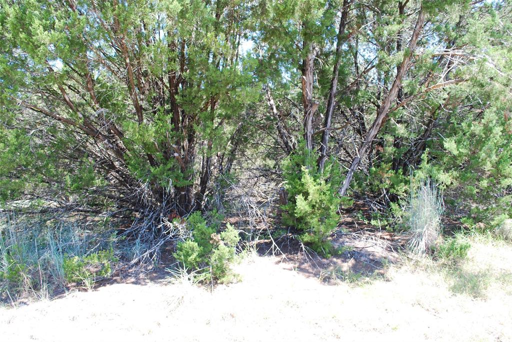 8183 Cedar Crest Drive Property Photo 2