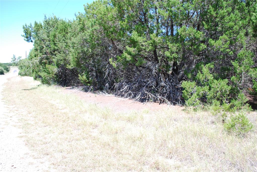 8183 Cedar Crest Drive Property Photo 3