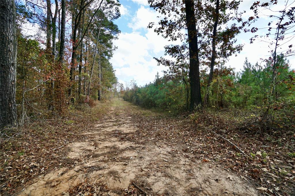 0 160 Highway Property Photo 16