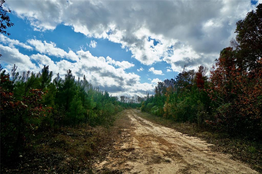 0 160 Highway Property Photo 17