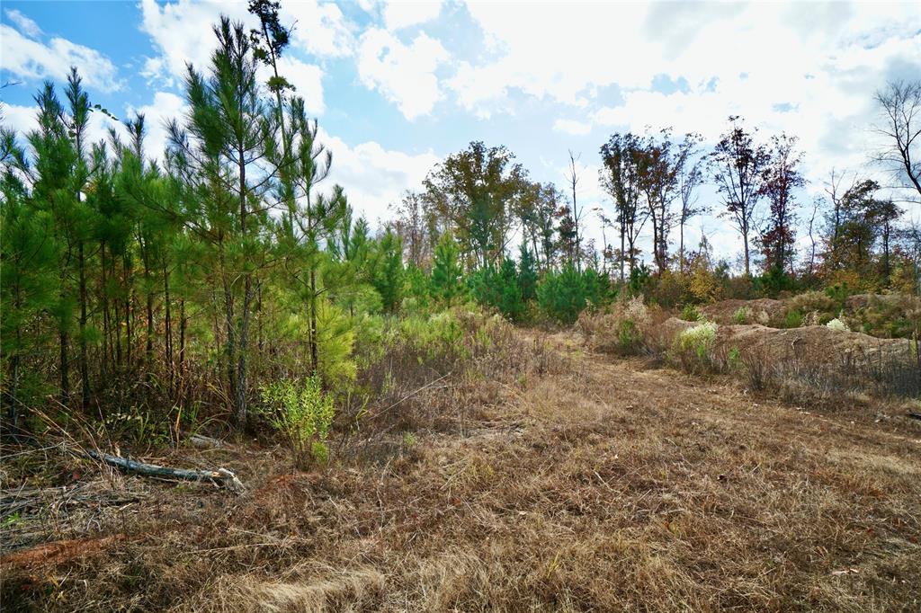 0 160 Highway Property Photo 19