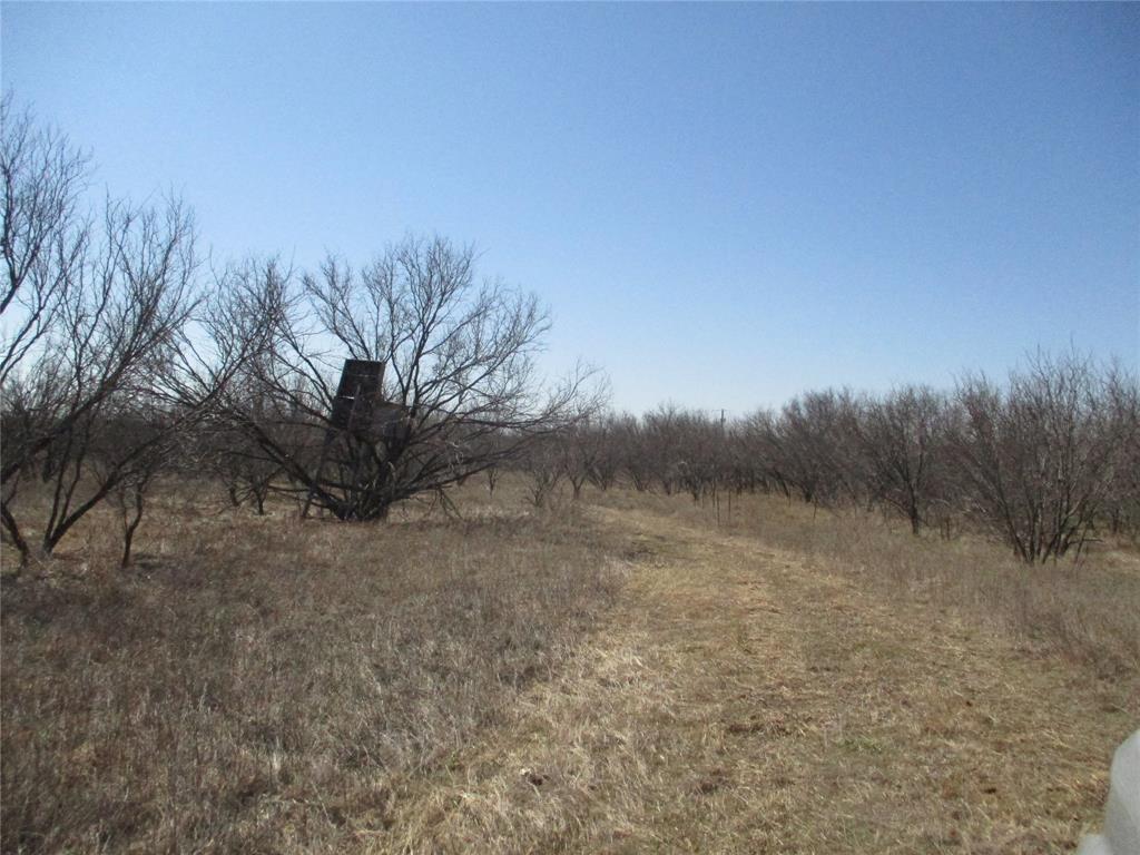 Lot 5 Old Joy Shannon Property Photo 1