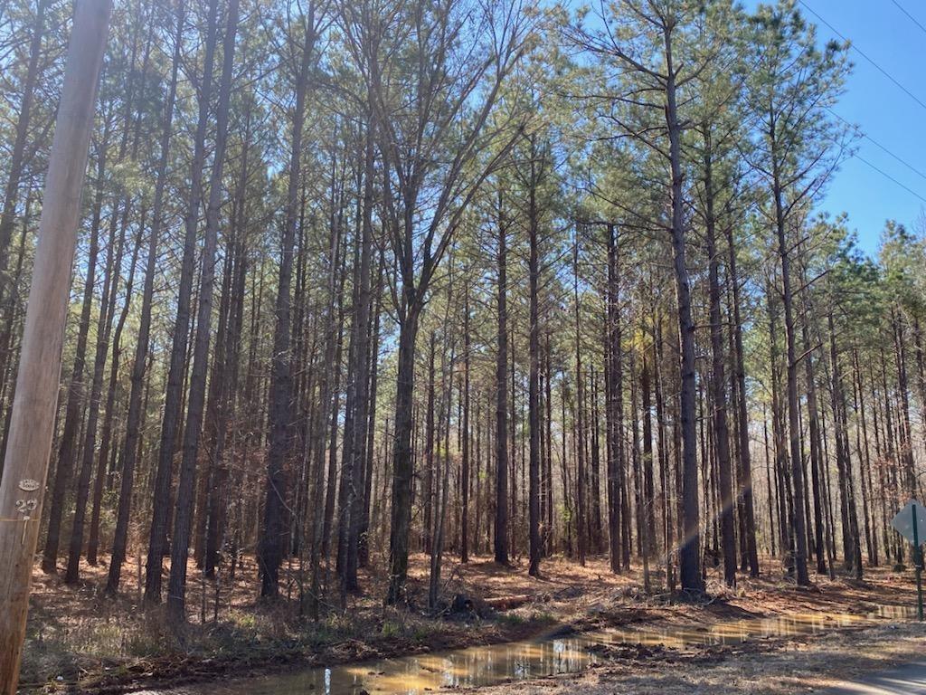 460 Cotton Valley Road Property Photo 1