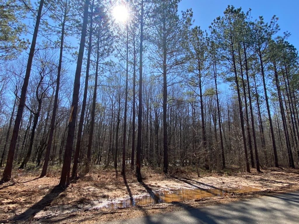 500 Cotton Valley Road Property Photo 1