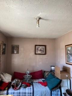 710 County Road 280 Property Photo 14