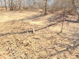 710 County Road 280 Property Photo 15