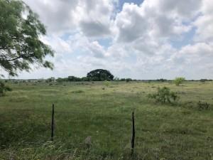 2232 Private Road 4032 Road Property Photo 3