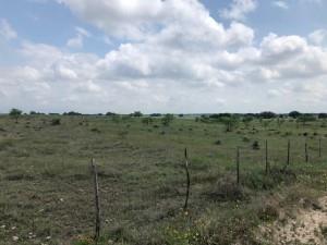 2232 Private Road 4032 Road Property Photo 35
