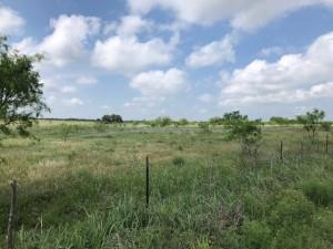 2232 Private Road 4032 Road Property Photo 38