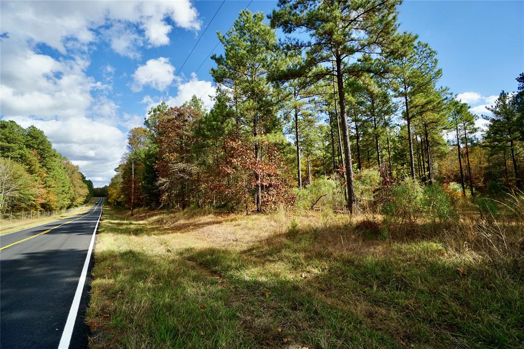 0 Old Plain Dealing Road Property Photo 1