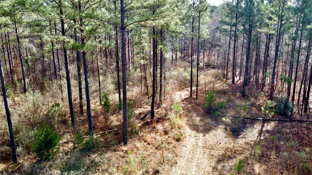 0 Old Plain Dealing Road Property Photo 2
