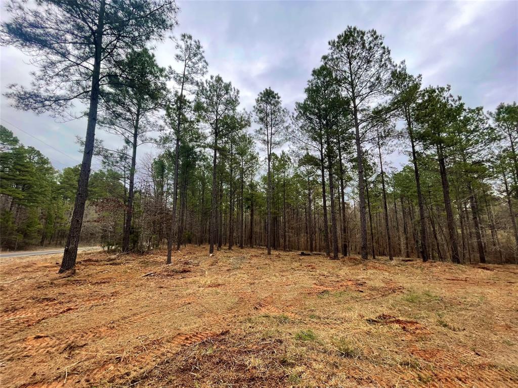 0 Old Plain Dealing Road Property Photo 3
